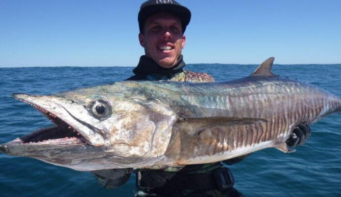 Steven-Mattaboni-was-killed-by-a-shark-near-an-island-off-the-coast-of-Perth.-Photo-Steven-Mattaboni-Instagram.jpg
