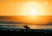 Surf Shops in New Zealand: A Complete Guide