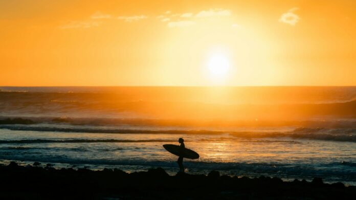 Surf-Shops-New-Zealand.jpg