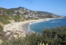 Search Called Off for Missing Swimmer in Laguna Beach