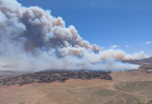 Cottonwood Fire Continues to Burn in Utah, Several Others Compound State of Emergency