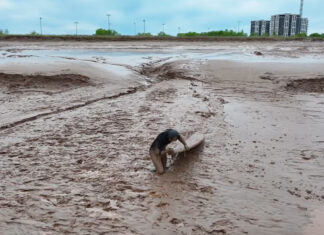 Ben Gravy Surfs Tidal Bore in Nova Scotia, Almost Loses Teammate in Mud Pit