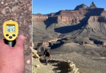 3 Hikers Dead After Temperatures Soar in Grand Canyon National Park