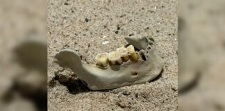 Human Bones Unearthed on Beach in San Clemente