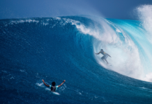 Natural Selection Surf Set to Return in South Africa