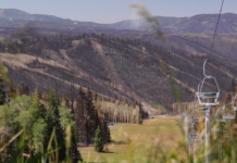 What Does Eagle Point Ski Resort Look Like After Cottonwood Fire Devastation?