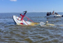 Whale Strike Sinks New Jersey Fireboat