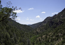Man Sentenced After Living in National Forest for Years