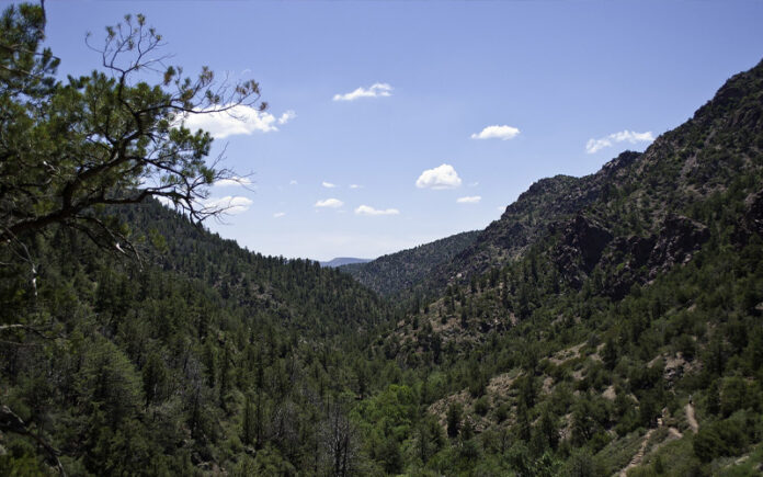 The-mans-campsite-was-found-in-the-Tonto-National-Forest-pictured-Site-Wikimedia-Commons.jpg
