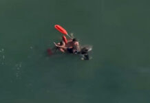 Los Angeles Lifeguards Make In-Ocean Arrest of Felon Running from Police