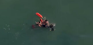Los Angeles Lifeguards Make In-Ocean Arrest of Felon Running from Police