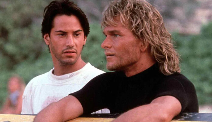 bodhi.jpg