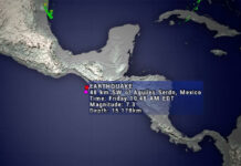 Earthquake Hits Southern Mexico, Prompting Tsunami Warnings