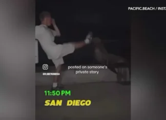 Authorities Investigating Social Media Video of San Diego Man Appearing to Kick Sea Lion