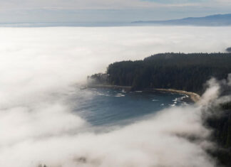 British Columbia’s West Coast Trail Sees Multiple Evacuations After Heavy July Rains