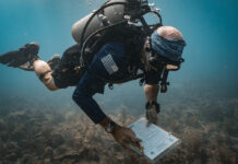 Force Blue Is Giving Special Forces Divers a New Mission: Ocean Conservation