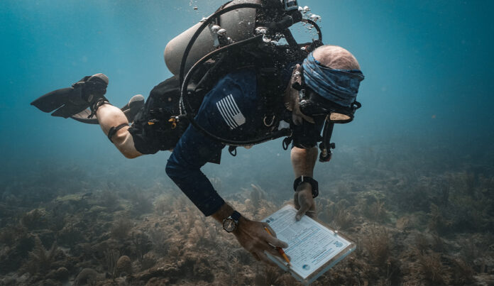 Dive-measurements.jpg