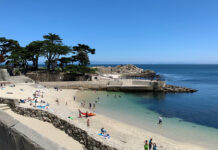 Autopsy Results Released for Monterey Shark Attack Victim