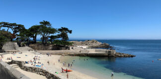 Autopsy Results Released for Monterey Shark Attack Victim