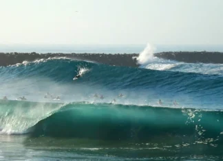 Iselle Delivered Barrel After Barrel for Newport Surfers