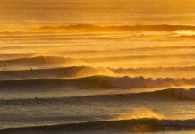 A New Australian Domestic Surf League Is Coming in 2028
