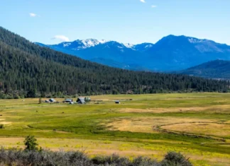 A 14,000-Acre Northern California Ranch Will Be Opened for Public Recreation
