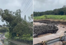 Tropical Storm Lala Hammers Hawaii: ‘Complete and Utter Devastation’