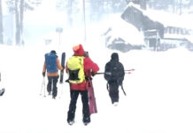 Backcountry Guide Company Fined $150K for Castle Peak Avalanche