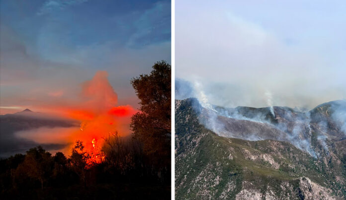 timber-fire-1.jpg