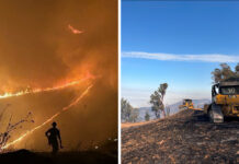 Timber Fire Shuts Down Iconic Stretch of California’s Highway 1