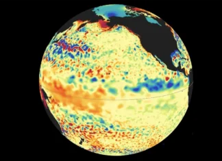 California Declares State of Emergency in Preparation for the Emerging El Niño Event