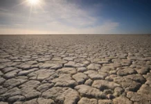 El Niño 2026: 451,000 Deaths Predicted in the Coming Months