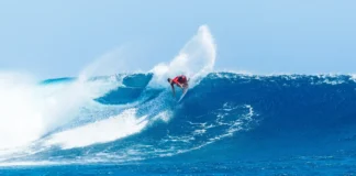 Despite Getting Eliminated Early, Jack Robinson Made the Most of His Fiji Vacation