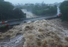 Lowell Is Expected to Barrel Toward the Hawaiian Islands as a Major Hurricane