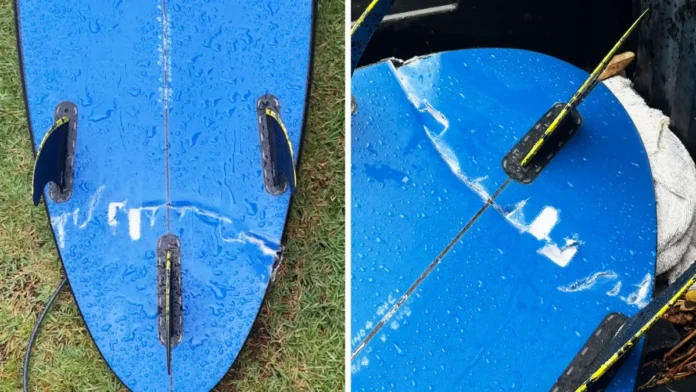 shark-bite-surfboard-1200x675.webp.webp