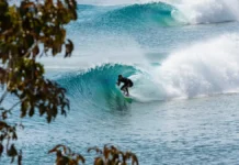 American Wave Machines Rekindled Its Wave Pool Patent Crusade Against Endless Surf
