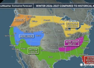 El Niño Forecast Map Shows Which States Are Likely to See the Most Snow This Winter